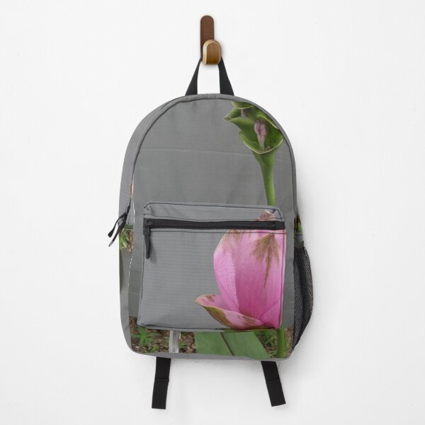 Item preview, Siam tulip is flowering plant, Curcuma sp. of the ginger family no. 63 designed and sold by greengoodnich.