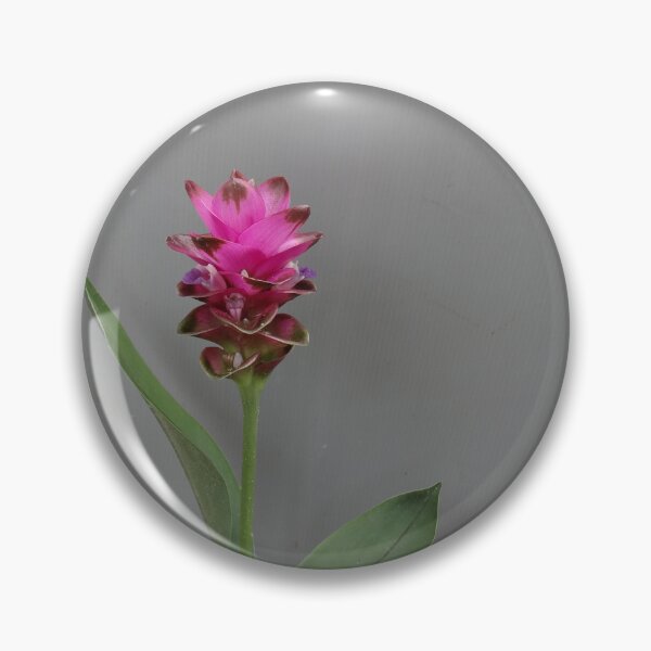 Item preview, Siam tulip is flowering plant, Curcuma sp. of the ginger family no. 64 designed and sold by greengoodnich.