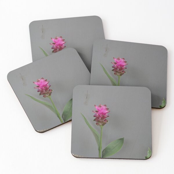 Item preview, Siam tulip is flowering plant, Curcuma sp. of the ginger family no. 64 designed and sold by greengoodnich.
