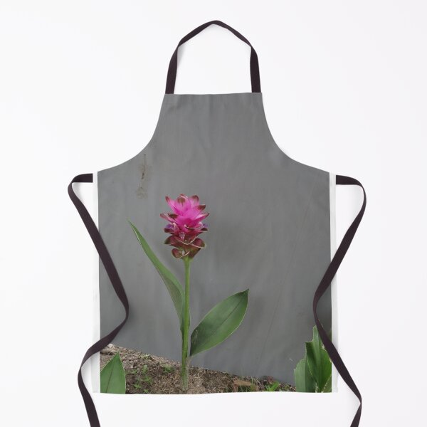 Item preview, Siam tulip is flowering plant, Curcuma sp. of the ginger family no. 64 designed and sold by greengoodnich.
