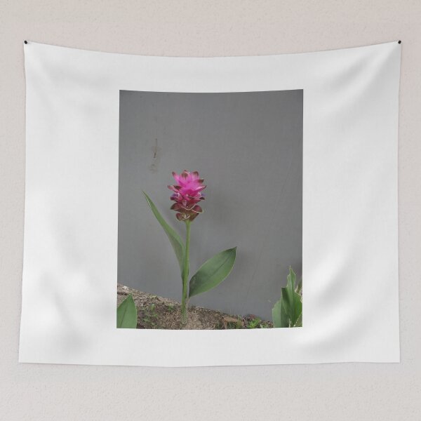 Item preview, Siam tulip is flowering plant, Curcuma sp. of the ginger family no. 64 designed and sold by greengoodnich.