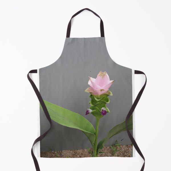 Item preview, Siam tulip is flowering plant, Curcuma sp. of the ginger family no. 65 designed and sold by greengoodnich.