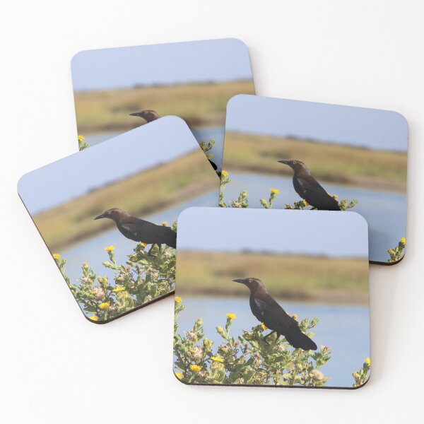 Item preview, Grackle On Flowers  designed and sold by thatpersonsoph.
