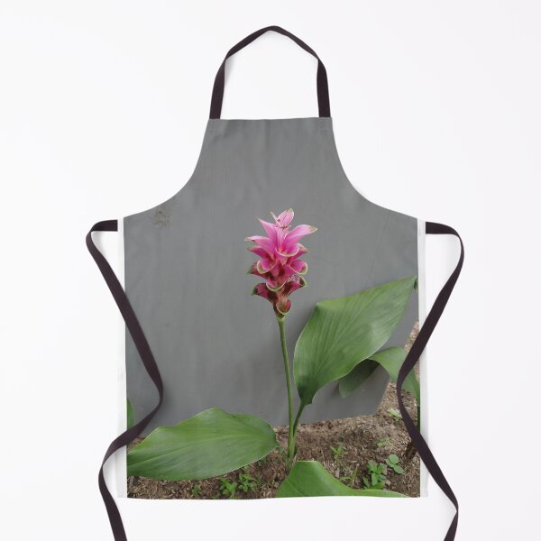 Item preview, Siam tulip is flowering plant, Curcuma sp. of the ginger family no. 66 designed and sold by greengoodnich.