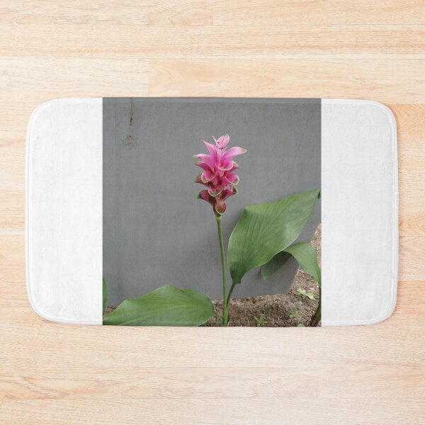 Item preview, Siam tulip is flowering plant, Curcuma sp. of the ginger family no. 66 designed and sold by greengoodnich.