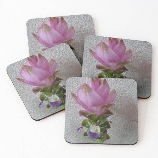 Item preview, Siam tulip is flowering plant, Curcuma sp. of the ginger family no. 67 designed and sold by greengoodnich.