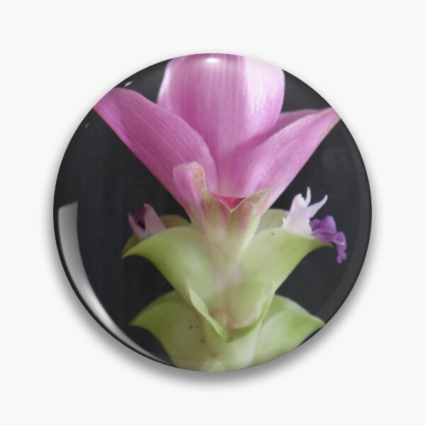 Item preview, Siam tulip is flowering plant, Curcuma sp. of the ginger family no. 68 designed and sold by greengoodnich.