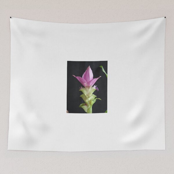Item preview, Siam tulip is flowering plant, Curcuma sp. of the ginger family no. 68 designed and sold by greengoodnich.