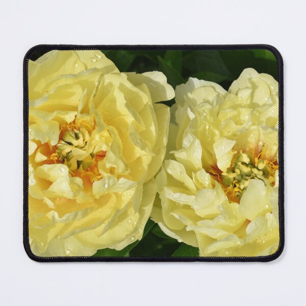 Item preview, Welcoming the Sun designed and sold by okomedesign.