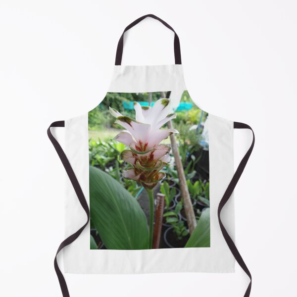Item preview, Siam tulip is flowering plant, Curcuma sp. of the ginger family no. 69 designed and sold by greengoodnich.