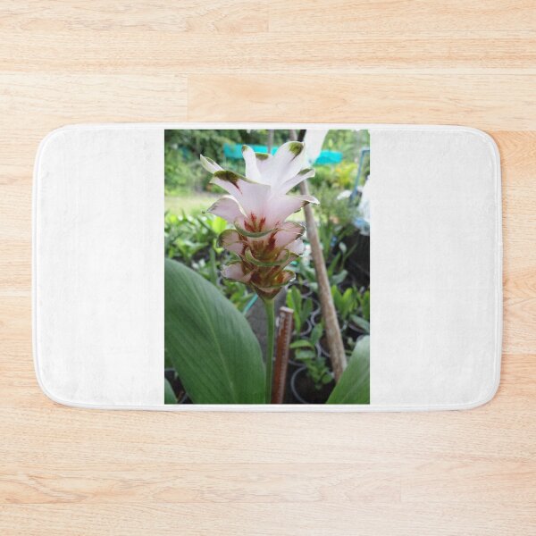 Item preview, Siam tulip is flowering plant, Curcuma sp. of the ginger family no. 69 designed and sold by greengoodnich.
