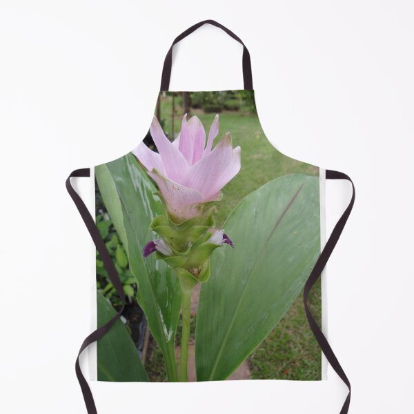 Item preview, Siam tulip is flowering plant, Curcuma sp. of the ginger family no. 70 designed and sold by greengoodnich.