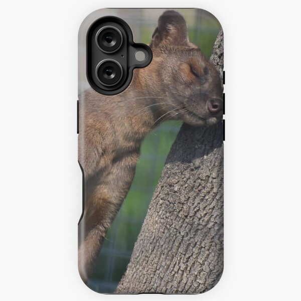 Item preview, Fossa designed and sold by Sharon the Zoo Lady Photography .