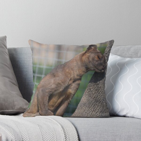 Item preview, Fosa designed and sold by Sharon the Zoo Lady Photography .