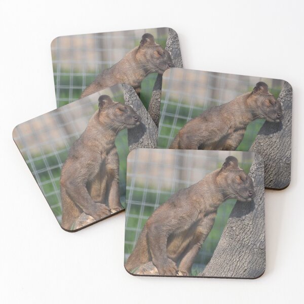 Item preview, Fosa designed and sold by Sharon the Zoo Lady Photography .