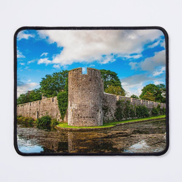 Item preview, The Walls of the Bishop's Palace, Wells designed and sold by Brian Shaw.