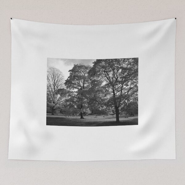 Item preview, Black & White Winter Trees  designed and sold by Goldfish20.