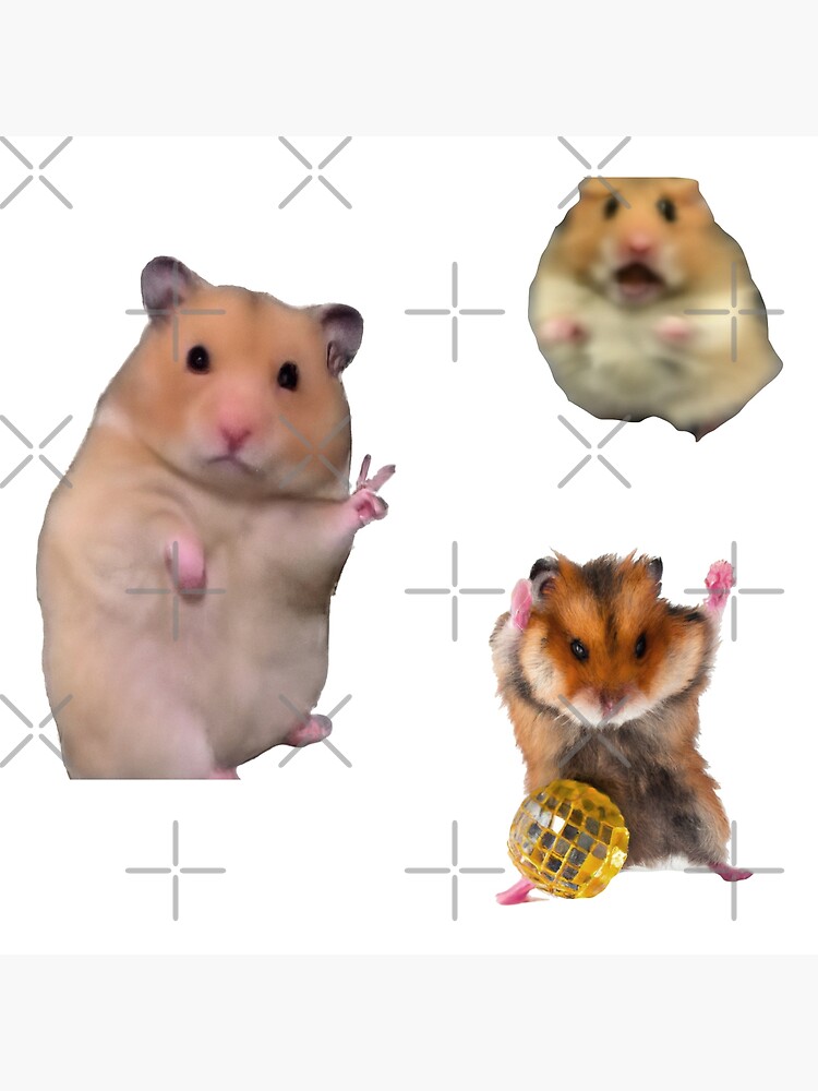 Cute Hamster Meme Pack Poster for Sale by Naomi Gutierrez Parrish