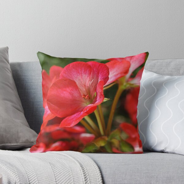 Item preview, Happy Spring Geranium designed and sold by Joy Watson - Natural Light Photography .