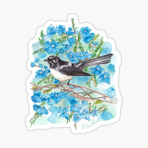 Willie Wagtail on Lechenaultia Sticker