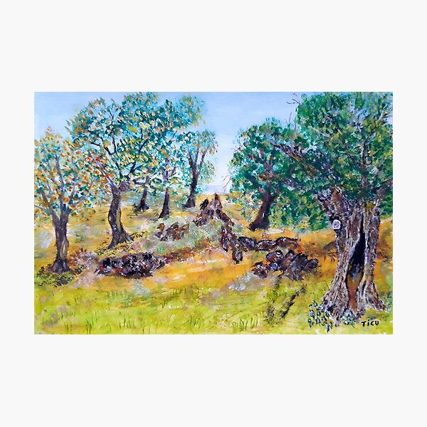 Aperçu de l'œuvre CALME DE LA FORÊT créée et vendue par TICU.