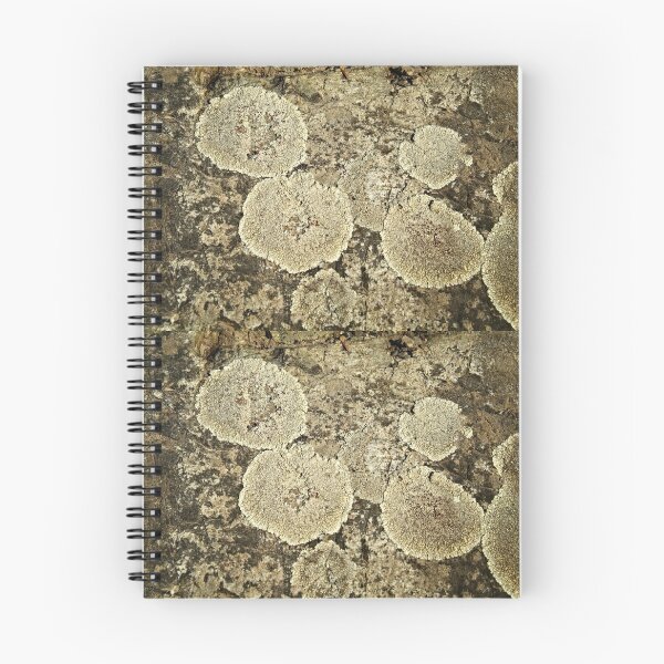 Item preview, Lichen Patch designed and sold by MasterJames.
