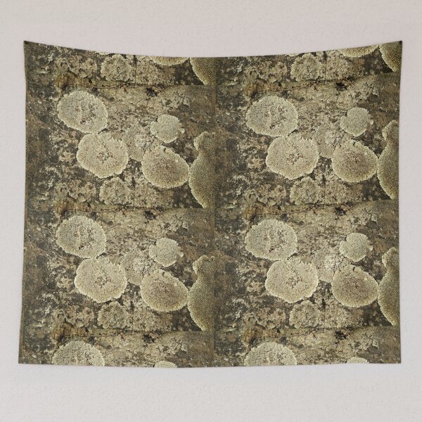 Item preview, Lichen Patch designed and sold by MasterJames.