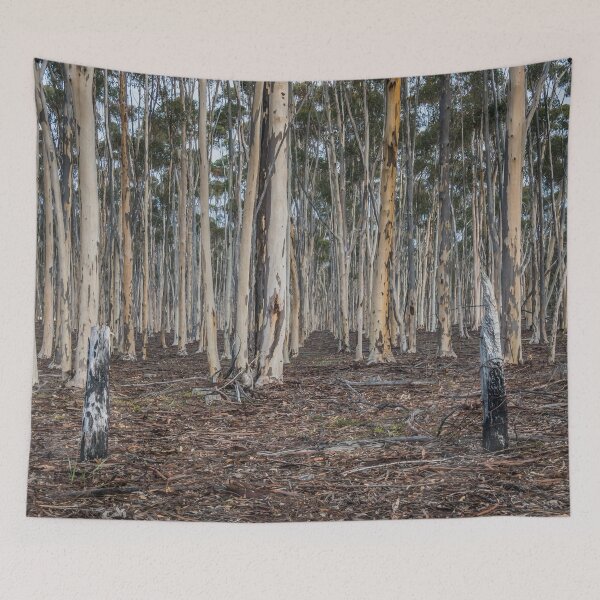 Item preview, You Yangs Plantation designed and sold by LukeDavidPhoto.