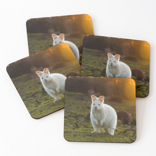 Item preview, Bruny Island White Wallaby Tasmania designed and sold by NicBucci.