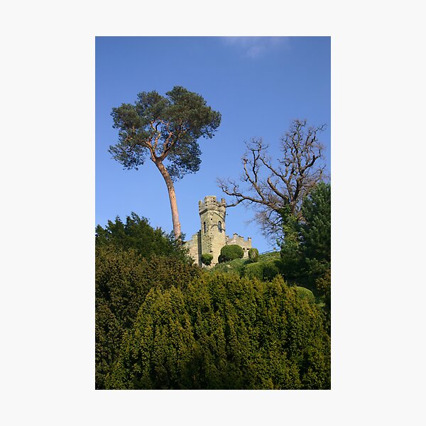 Item preview, Warrick Castle designed and sold by RosaMarieAshby.