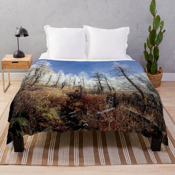 Item preview, Rime Ice Covered Trees-Blodgett Peak Colorado designed and sold by CarefulCaptures.