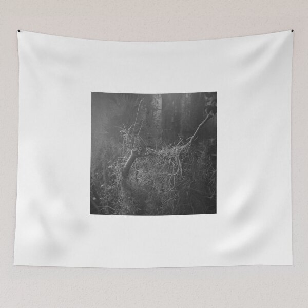 Item preview, Misty Rain forset designed and sold by Goldfish20.