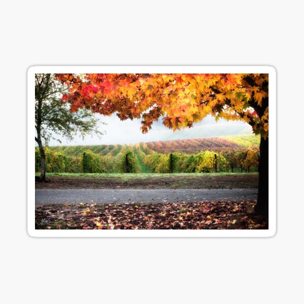 Boynton's Feathertop Winery Sticker