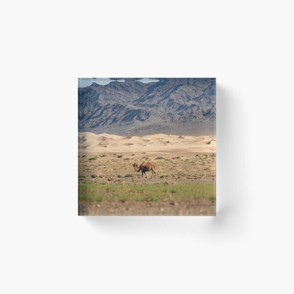 Item preview, Gobi Desert camel in Mongolia designed and sold by NicBucci.