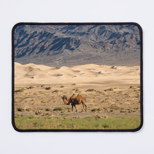 Item preview, Gobi Desert camel in Mongolia designed and sold by NicBucci.