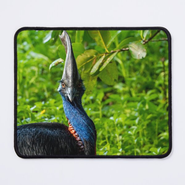Item preview, Cassowary in Tropical North Queensland designed and sold by NicBucci.