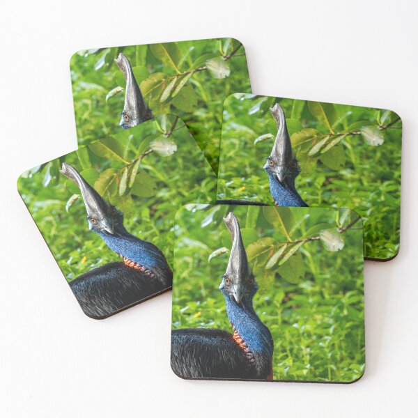 Item preview, Cassowary in Tropical North Queensland designed and sold by NicBucci.