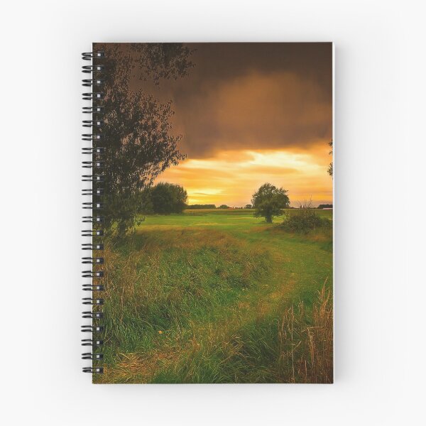 Item preview, Baum auf dem Feld designed and sold by Stefan Kierek.