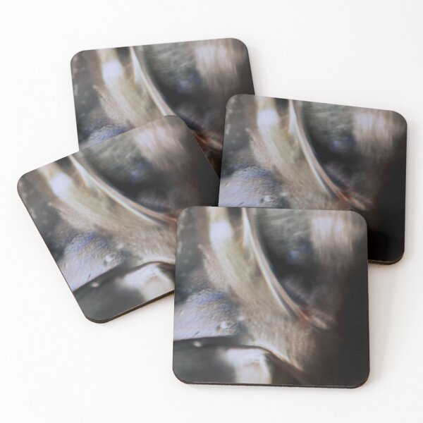 Item preview, A Photographic Study in Abstraction and Glass designed and sold by Geoff Treagus.