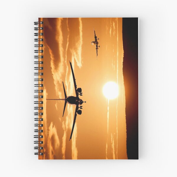 Item preview, AVIATION #41 - Airliner Departures and Arrivals at a Golden Sunrise/Sunset designed and sold by DEL-Productions.