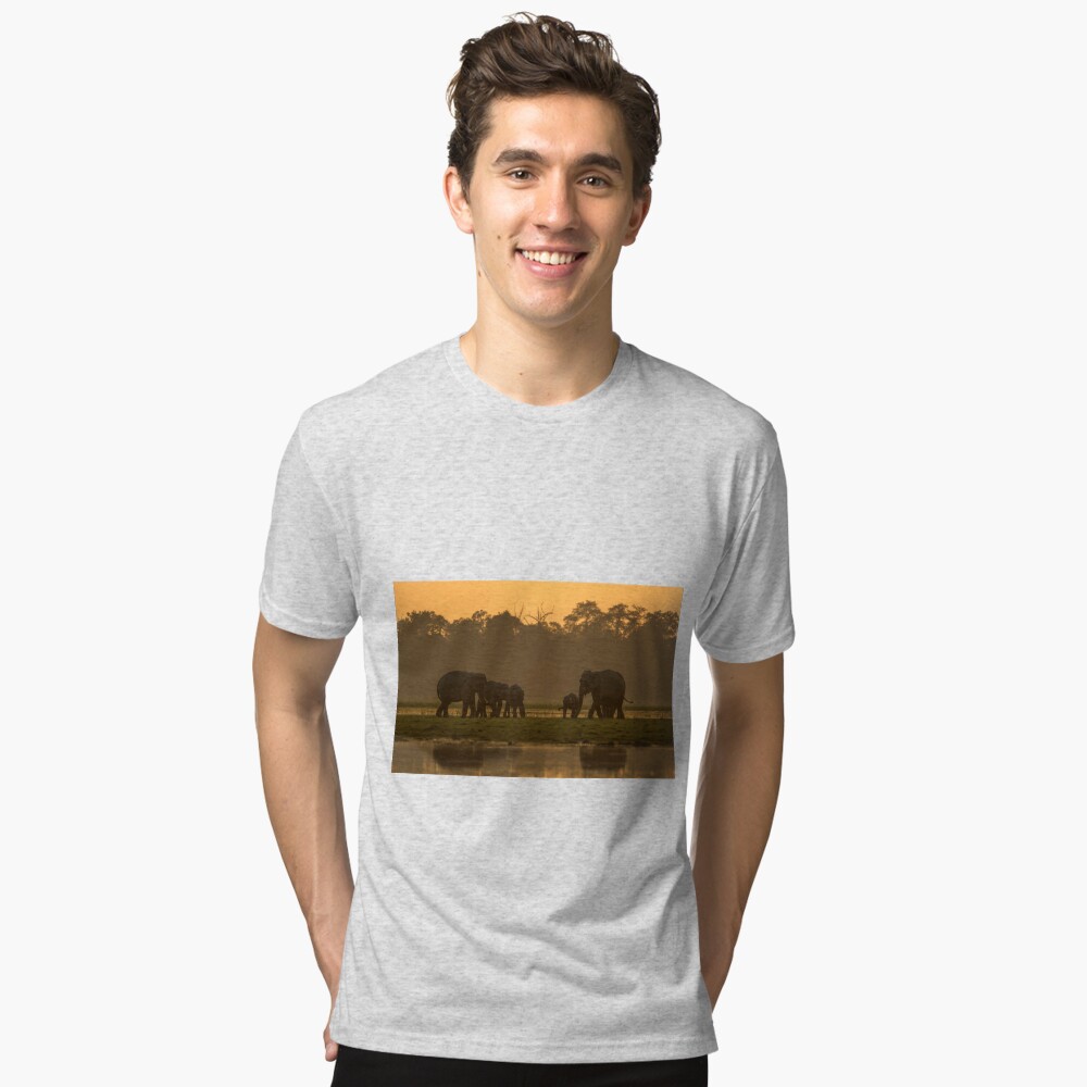 Item preview, Tri-blend T-Shirt designed and sold by rshankar8080.