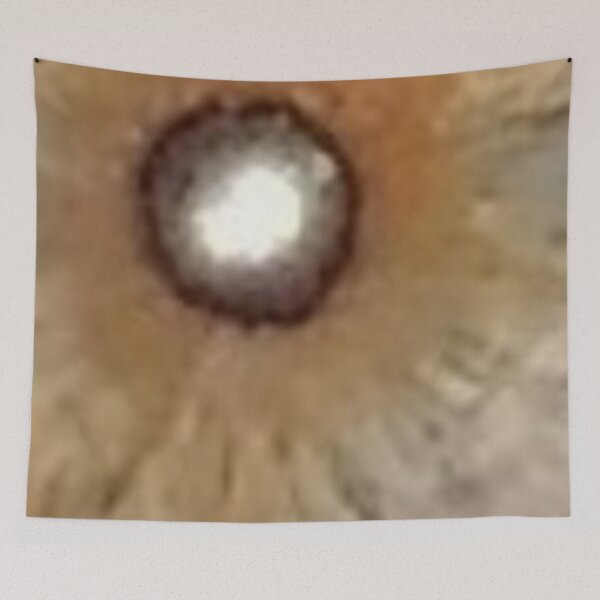 Item preview, Black Hole Sun - Original Colors - Photograph by Veda designed and sold by kattakitty.