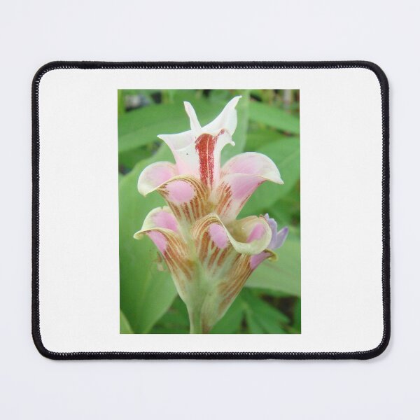 Item preview, Into the forest to take pictures of beautiful flowers to art no.10 designed and sold by greengoodnich.
