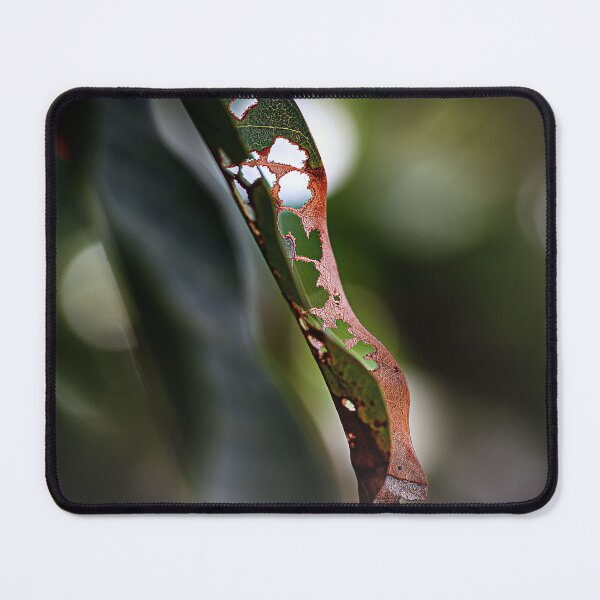 Item preview, Chewed up Mango Leaf with Bokeh designed and sold by Huskyyy Designs.