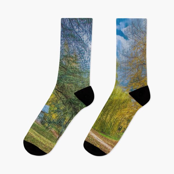 Item preview, Autumn time in country park designed and sold by Leonie Morris.