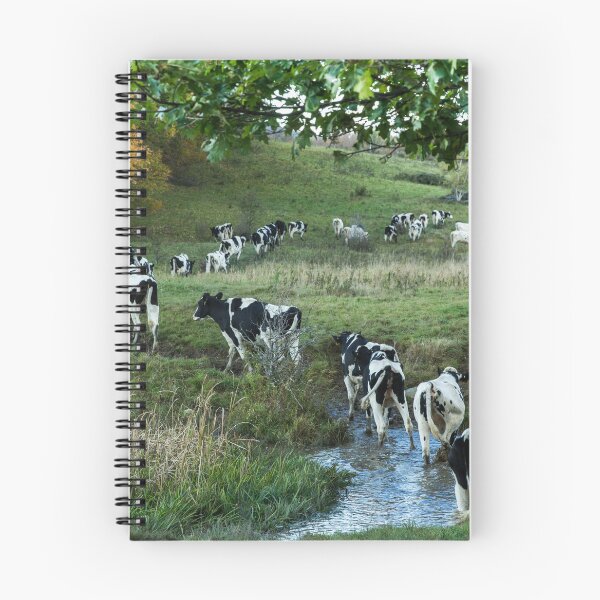 Item preview, Vacas lecheras de Vermont designed and sold by Marie Cardona.