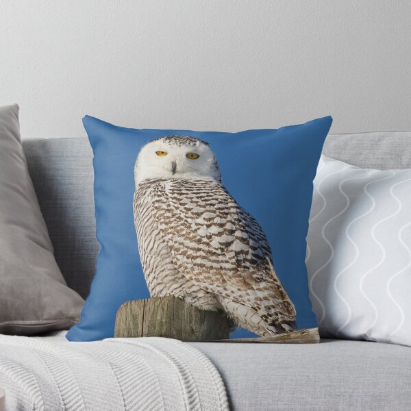 Item preview, Who Is Looking At Me designed and sold by Thomasyoung.