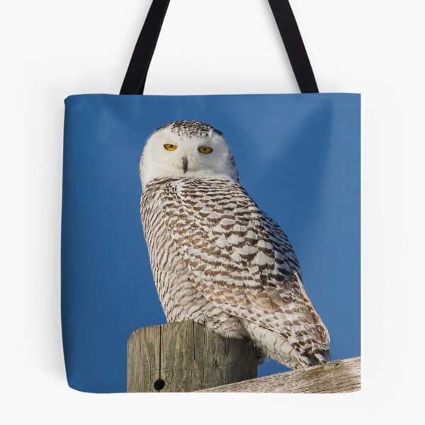 Item preview, Who Is Looking At Me designed and sold by Thomasyoung.