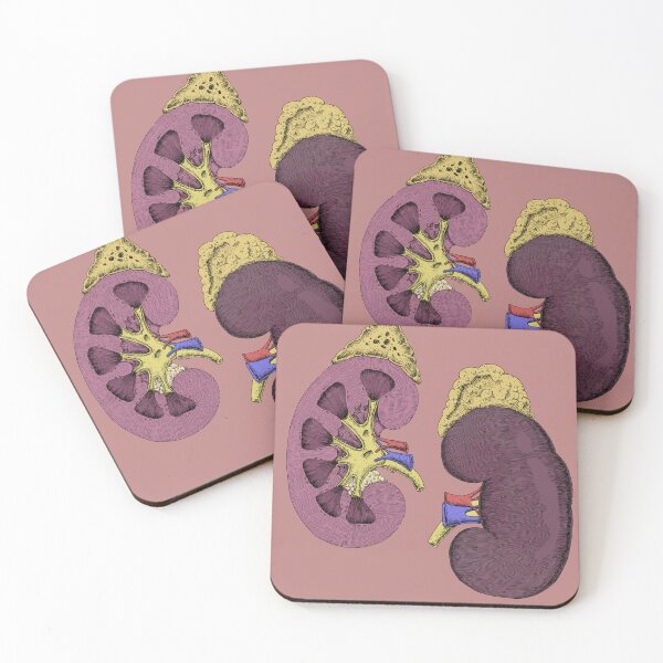 Item preview, Kidneys Anatomical Drawing(colored) designed and sold by DrTeebu.