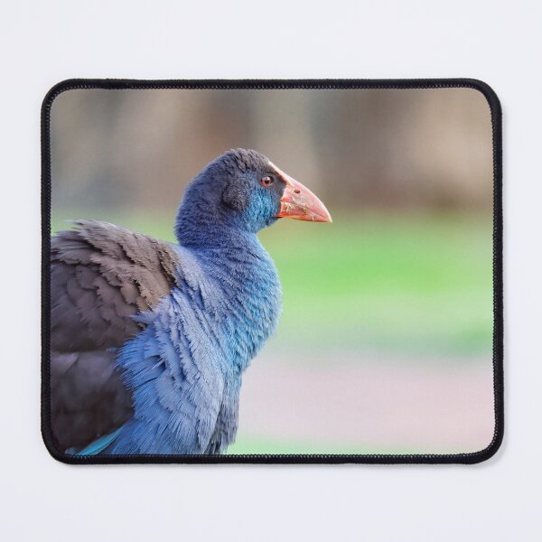 Item preview, Detailed Australian Purple Swamphen close up in the late evening designed and sold by hendrikspix.
